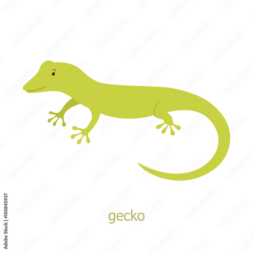Gecko. Cartoon character.