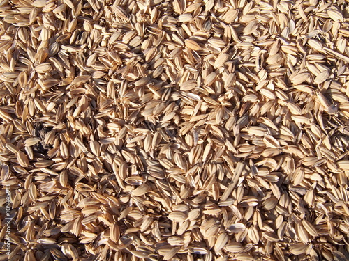 rice husks