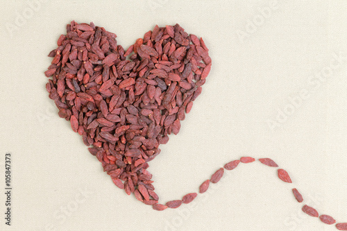 Healthy diet concept with dried goji berries