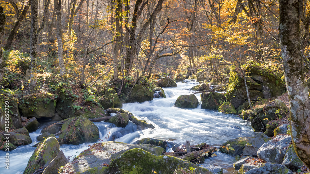 Mysterious Oirase Stream flowing through the autumn forest in To