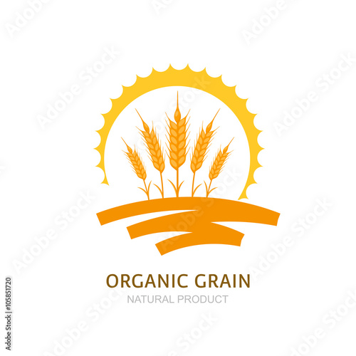 Wheat, barley, or rye ears, field and sun. Vector logo, label, package design elements. Concept for agriculture, organic cereal products, harvesting grain and farming. Healthy food symbol.
