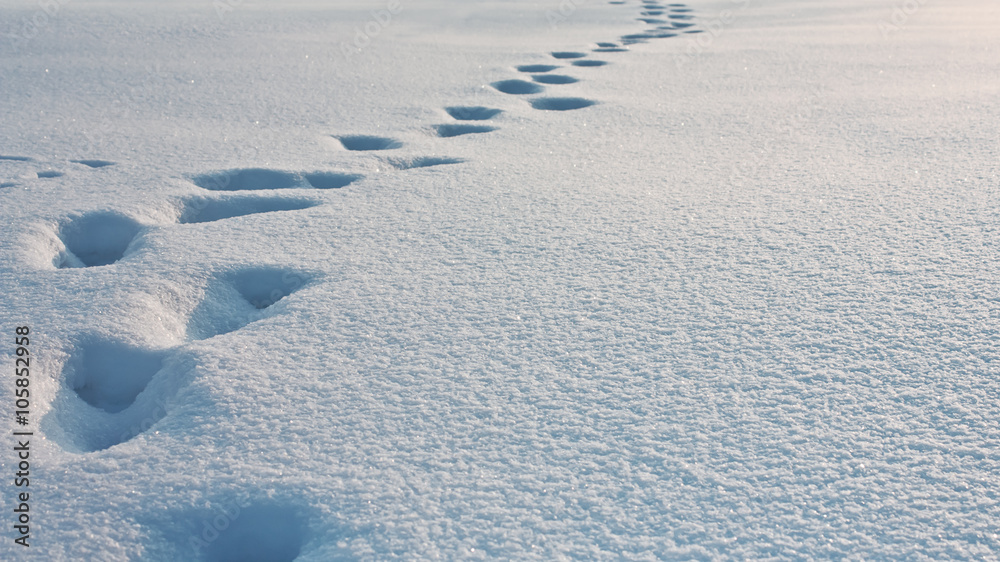 Obraz premium Deep footprints in the snow, snowdrift texture background, winter background