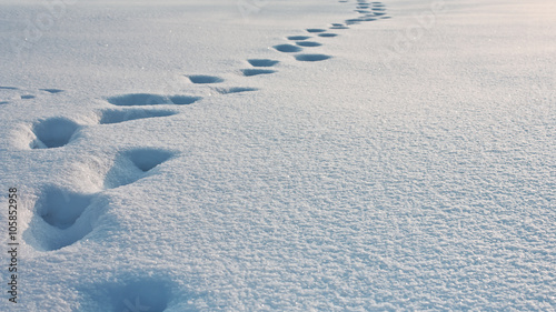 Deep footprints in the snow, snowdrift texture background, winter background