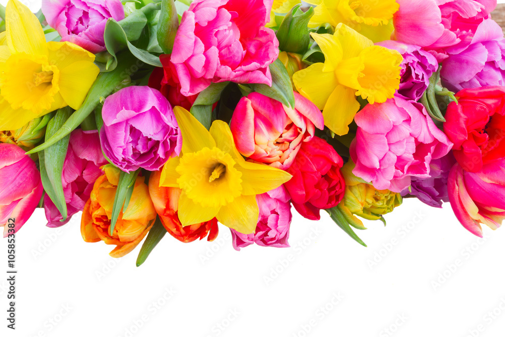 bouquet of tulips and daffodils bouquet of tulips and daffodils