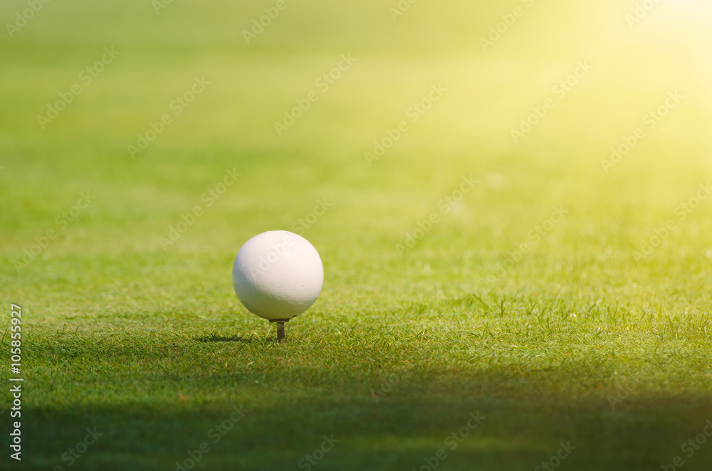 Golf ball on the green lawn background, sunny natural sport image. Competition, achivement and target concept. Golf ball on the green lawn background, sunny natural sport image. Competition, achivement and target concept.