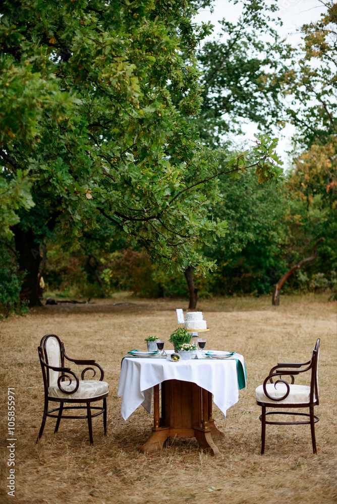 decorated table for two with floral composition on a background of park 