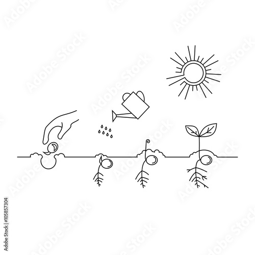Timeline infographic of planting tree process