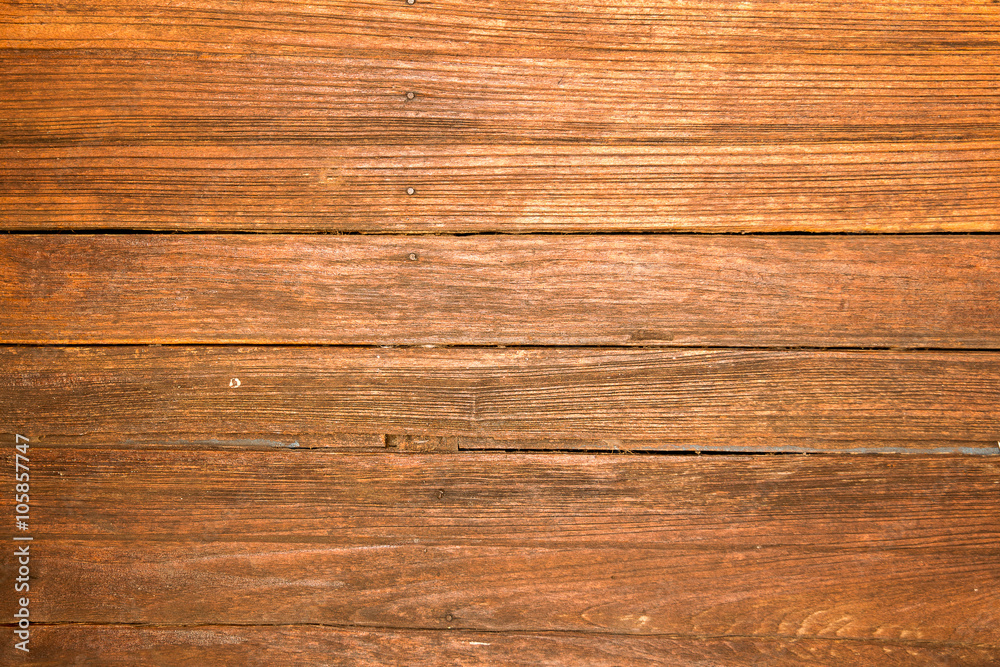 Fototapeta premium background woof