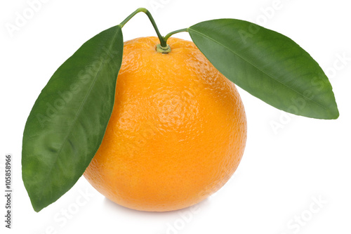 Orange Frucht Freisteller freigestellt