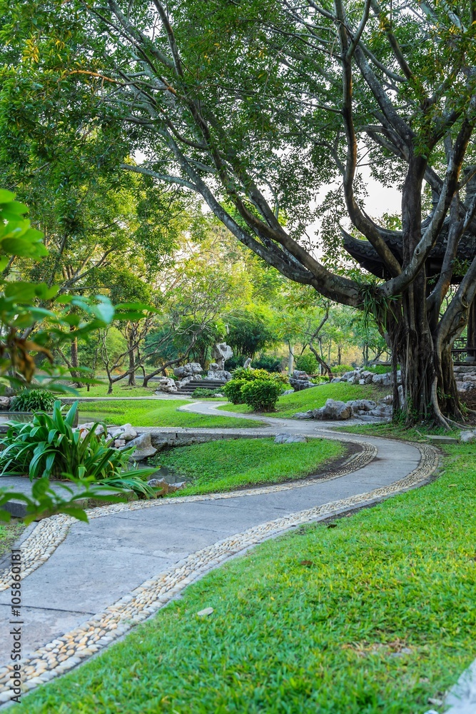 walkway in the park,Suanluang RAMA IX
walkway in the park,Suanluang RAMA IX