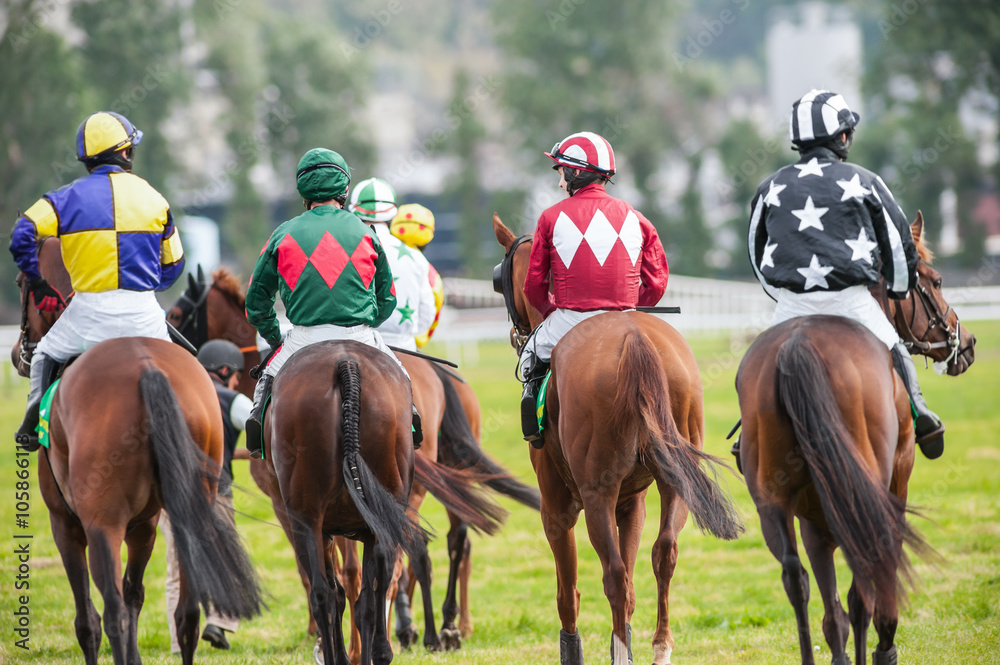 Race horses and jockeys walking to the starting line Race horses and jockeys walking to the starting line