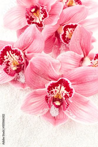 Fototapeta Naklejka Na Ścianę i Meble -  Orchid flowers