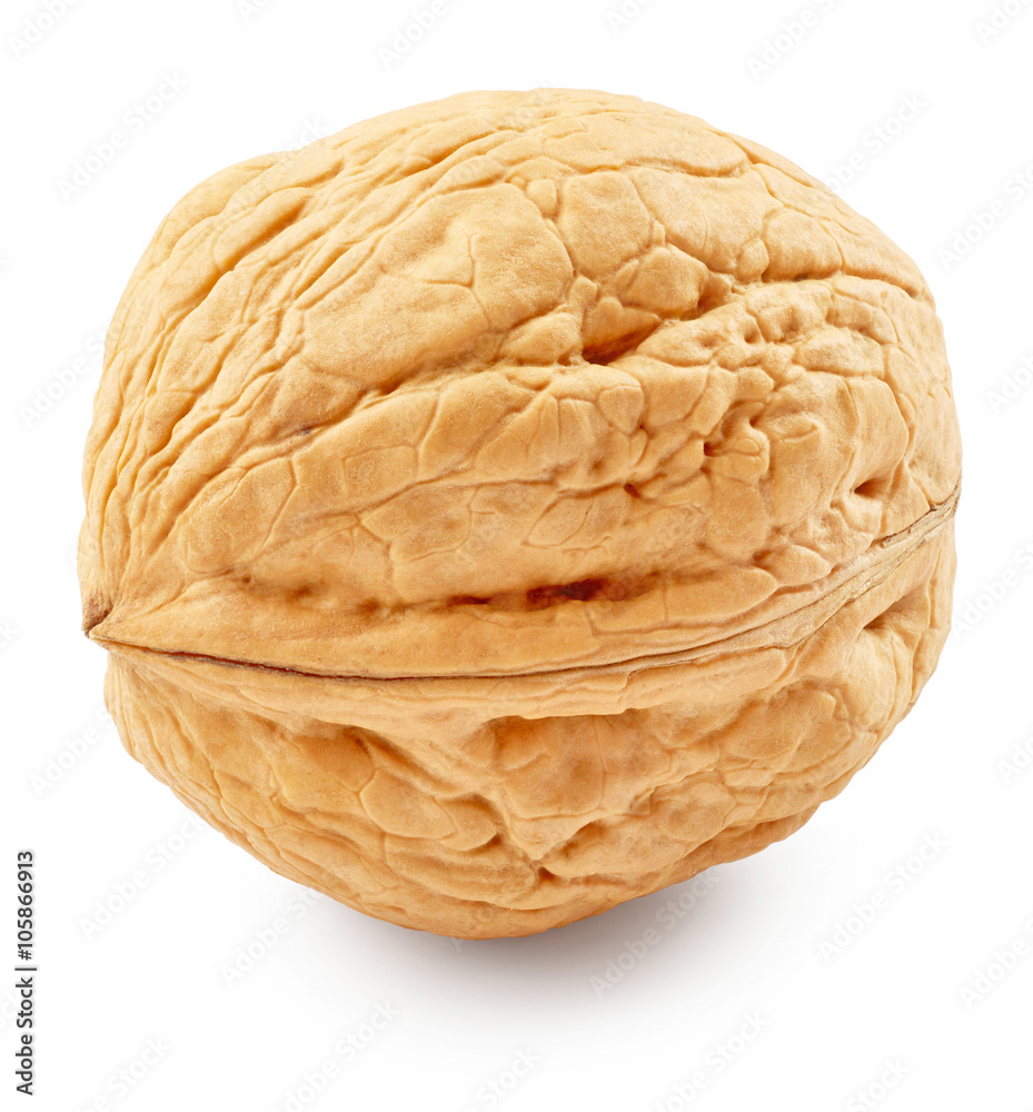 Walnut Walnut