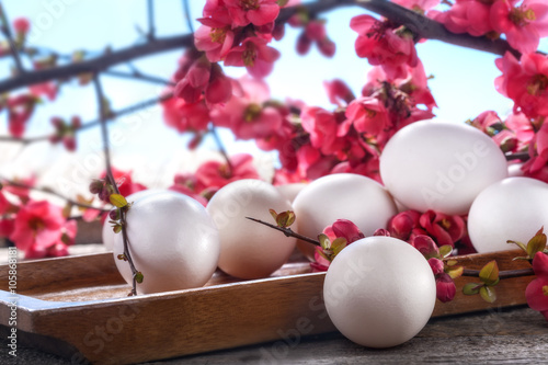.white eggs with spring blossoming branch on a rustic wooden table