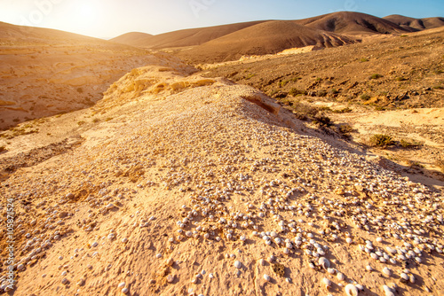 Natural dried riverbed with a lot of shells on Fuerteventura island in Spain 