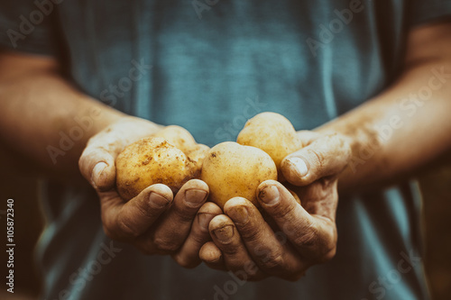 Farmer with potatoes