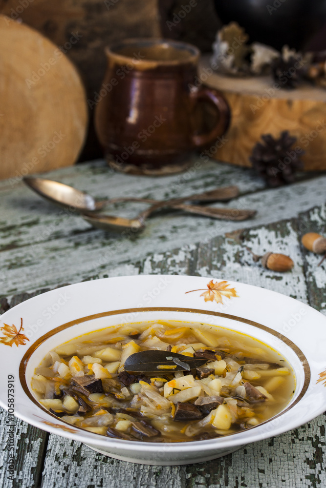 traditional Russian cabbage soup shchi with mushrooms traditional Russian cabbage soup shchi with mushrooms
