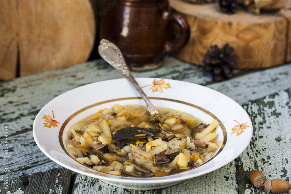traditional Russian cabbage soup shchi with mushrooms traditional Russian cabbage soup shchi with mushrooms