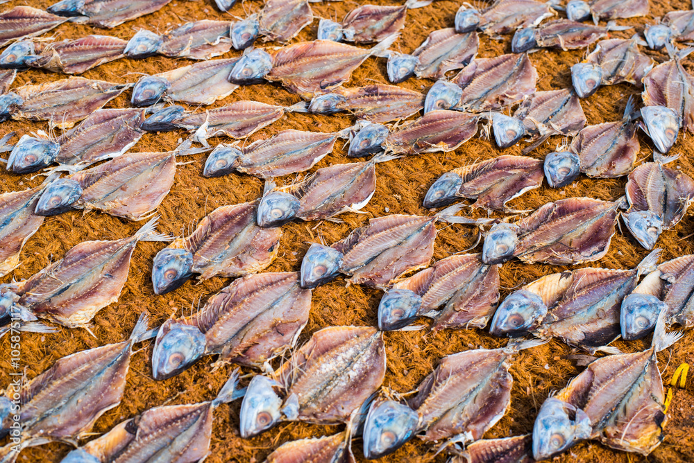Drying salted fish on coir (coconut fabric) outdoors in Mangalore city, Karnataka, India. Food pattern background.