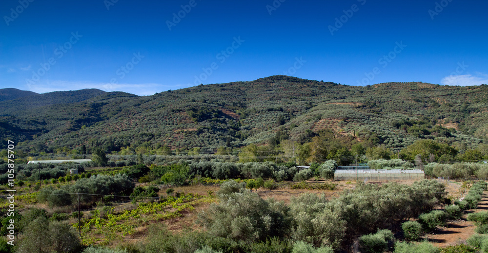 Agricultural land. Crete
