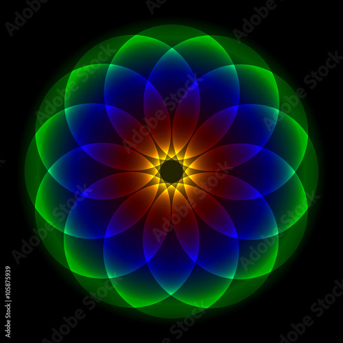 rainbow shining flower