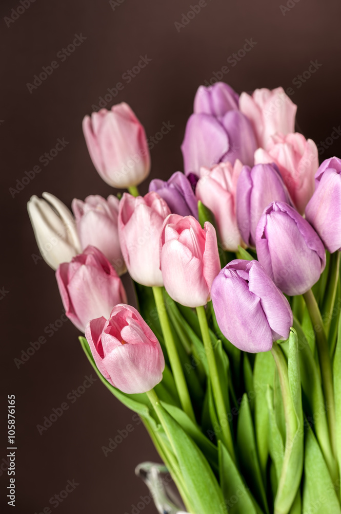 Colorful tulips close-up