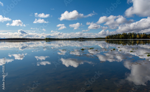 Fototapeta Naklejka Na Ścianę i Meble -  Clouds and trees reflections on flat water