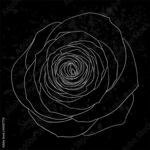 beautiful black and white rose outline with gray spots on a black background.