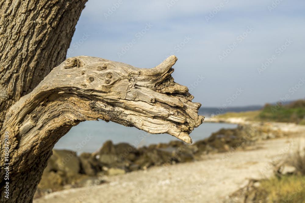 Spiagge bianche di Vada e Rosignano Solvay.