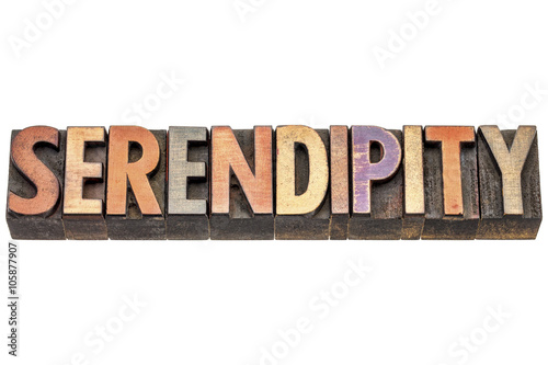 serendipity word in wood type photo
