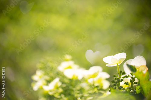 Abstract nature background with heart shaped bokeh photo