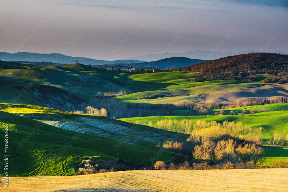 Fantastic landscape of early spring in Tuscany.