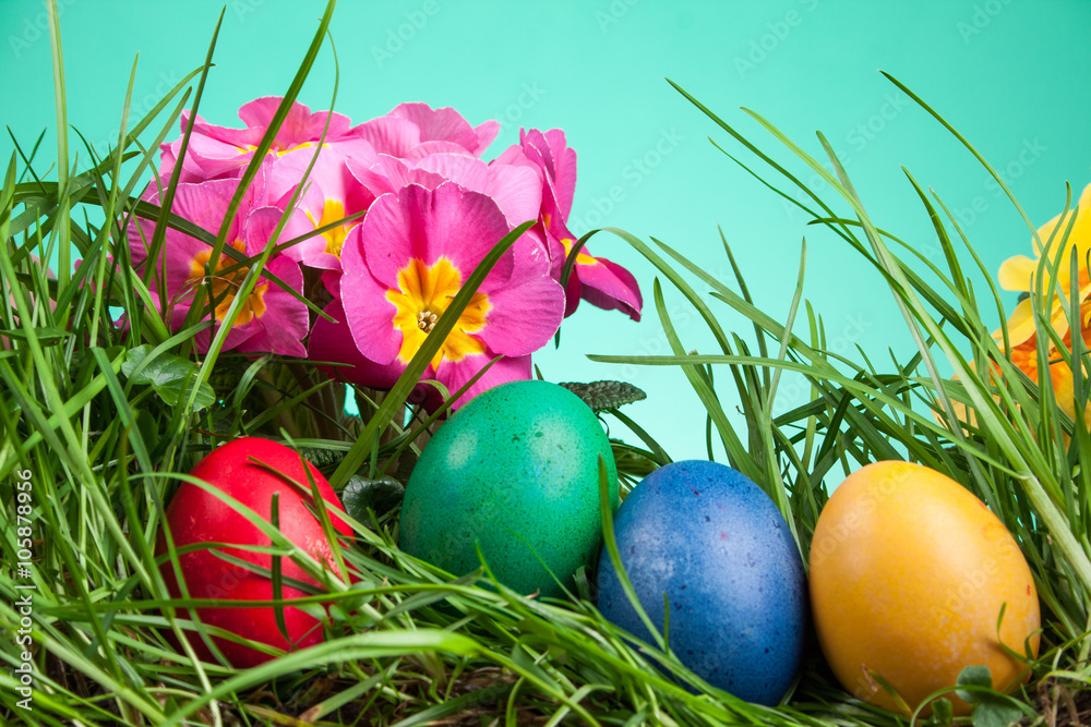 Easter colored eggs in the grass Easter colored eggs in the grass