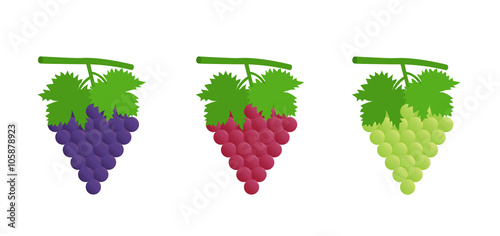 Flat icon black  red  green grapes with leaves. Vector illustration.