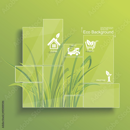 Ecological Infographic