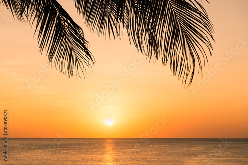 Sunset on the beach through silhouette of palm tree leaves