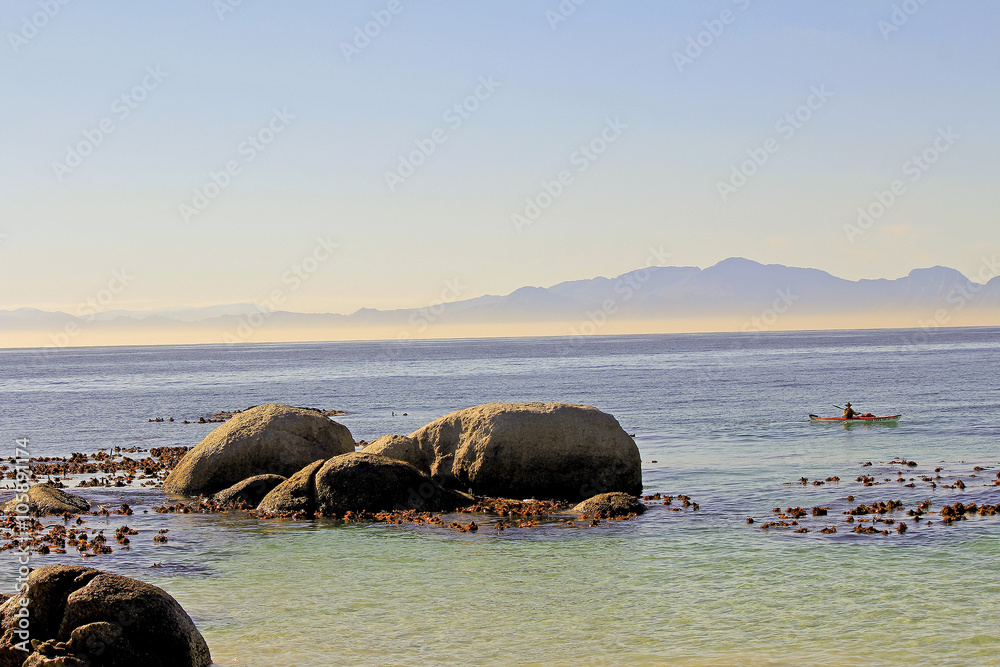 Fototapeta premium Coast of Africa - Cape point in Boulders - home for african peng