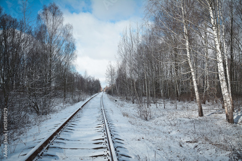 Railway in the forest © bisonov