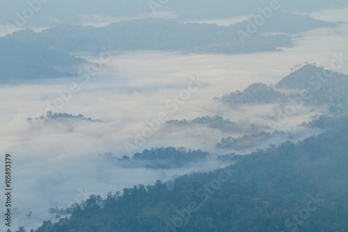 The mist at the mountain in raining morning