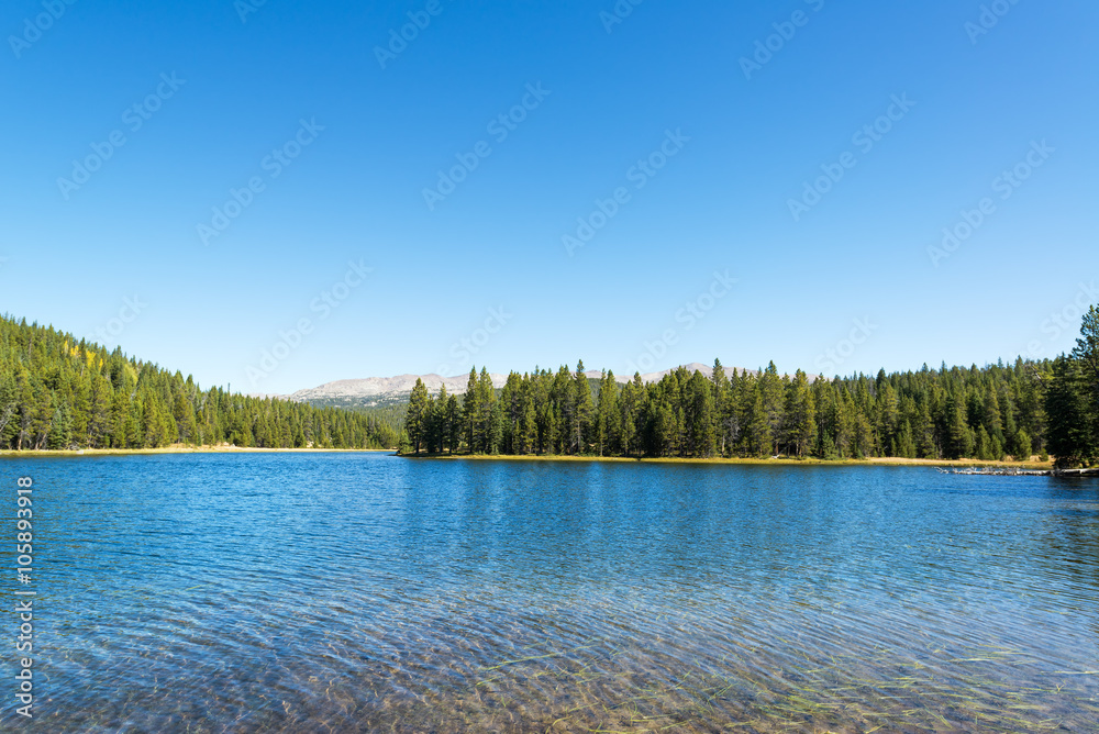 View of West Tensleep Lake in Wyoming - obrazy, fototapety, plakaty 