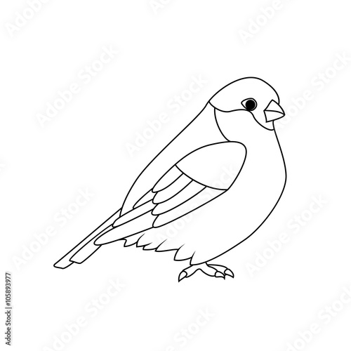 Coloring book: Bullfinch