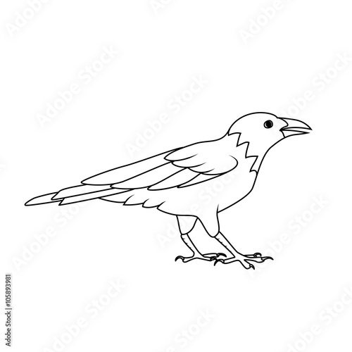 Coloring book: Crow or Raven