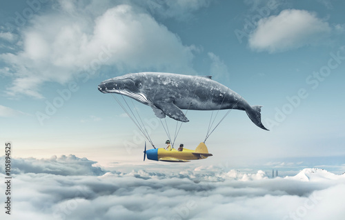 latajacy-wieloryb