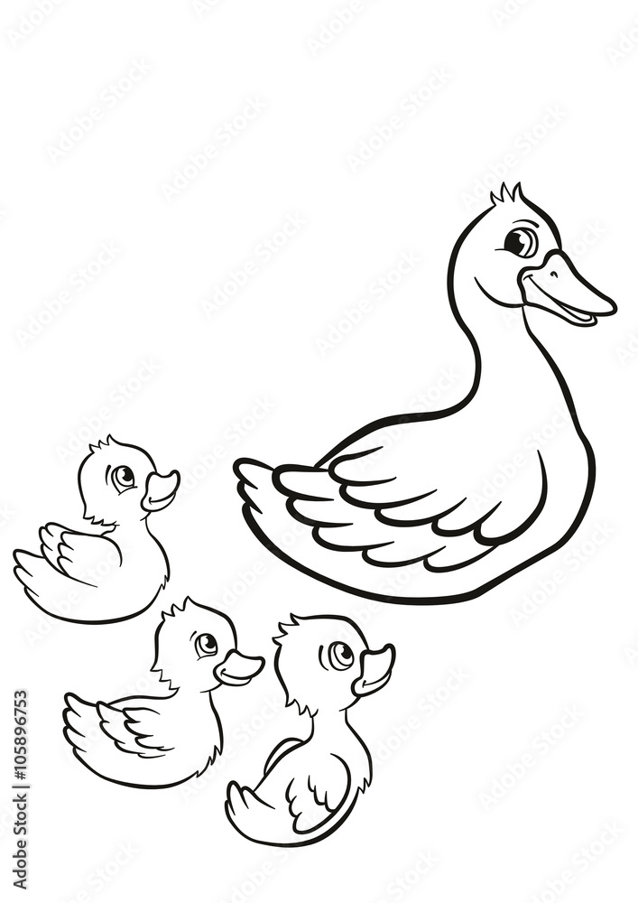 Coloring pages. Kind duck and free little cute ducklings swim on the lake. They are happy and smile.