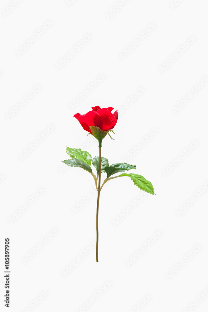 Obraz premium red rose flower, beautiful plastic rose flower.