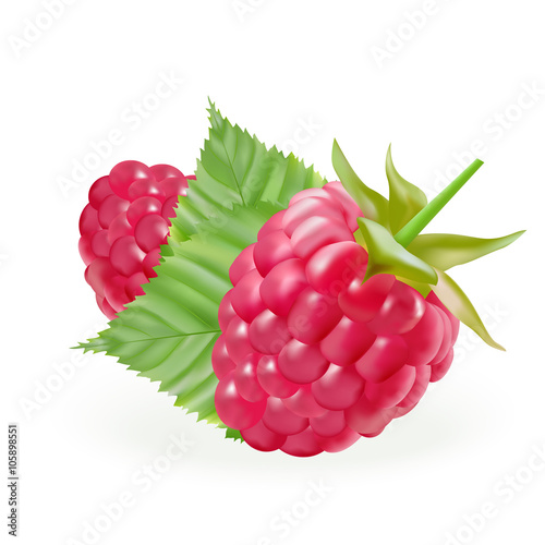rasberries with gteen leaves