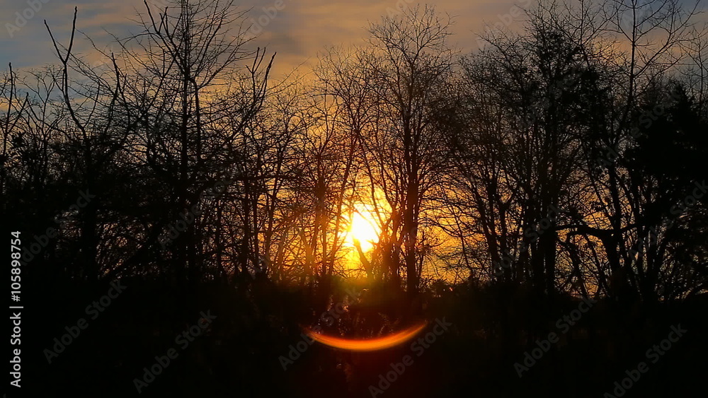 sunrise thru the reeds, sun thru the reeds, sunset on the riverbank, sunrise thru the reeds, sun thru the reeds, sunset on the riverbank,