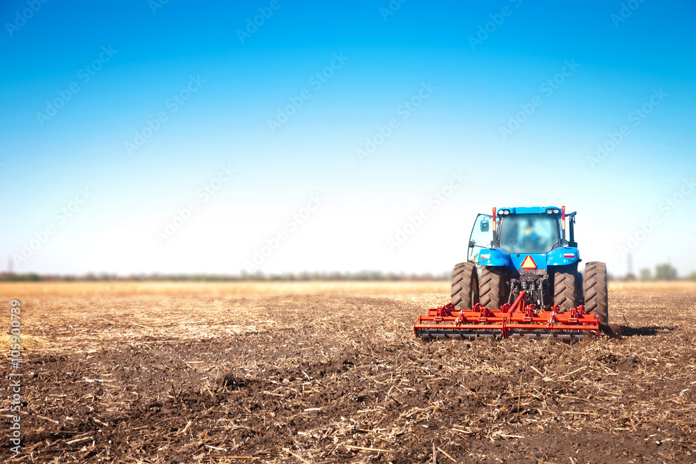 Fototapeta premium Blue tractor in the field