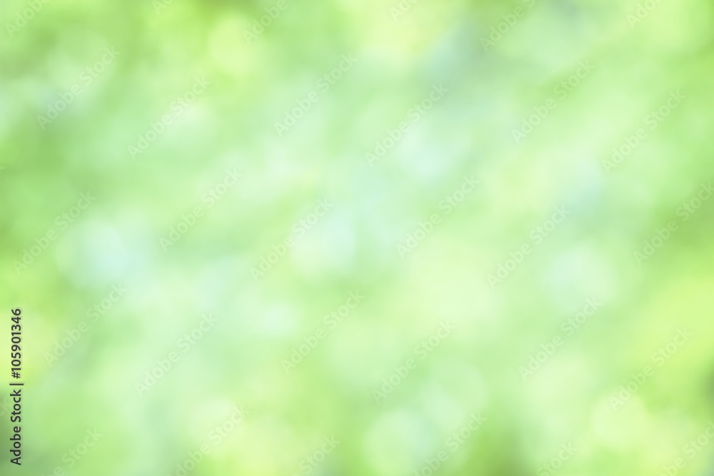 Fresh green background Bokeh