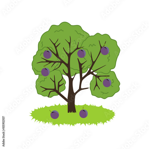 Plum Tree Icon